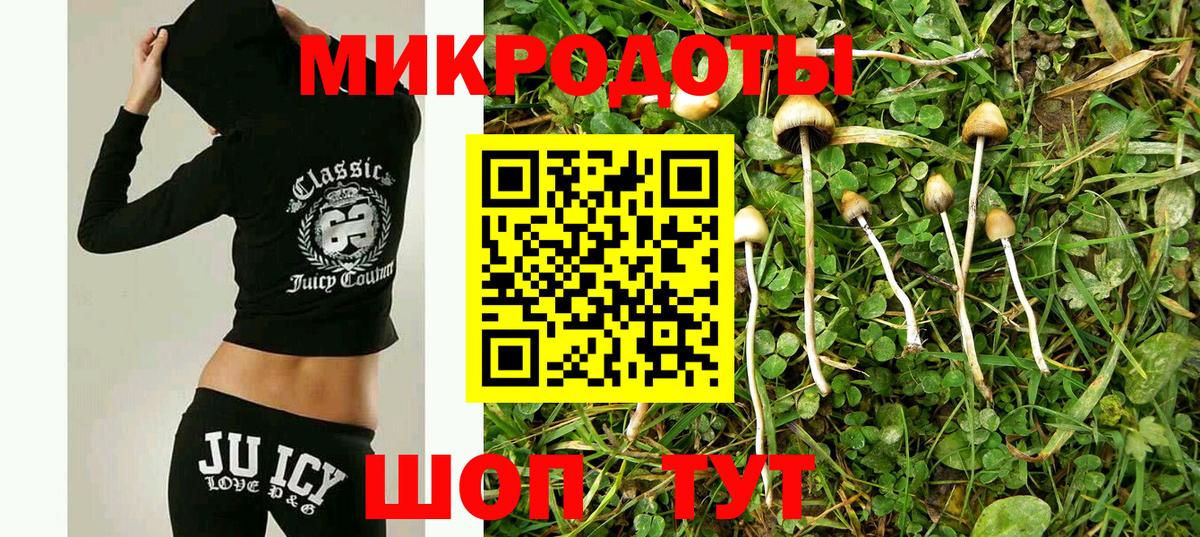 Лесозаводск  Псилоцибиновые грибы мухоморы  что такое   Вход с VPN 
